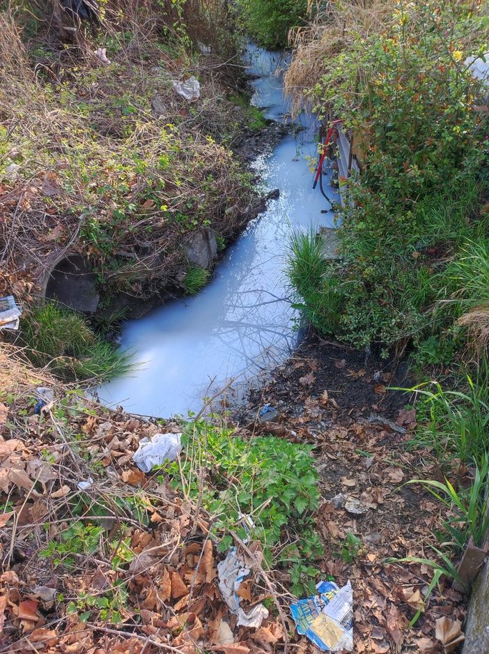 canale inquinato canale inquinato