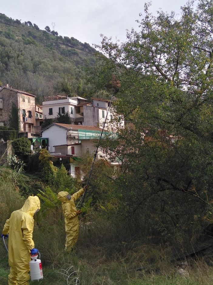 Ok da parte dell'Europa al progetto Life StopVespa promosso da Unito