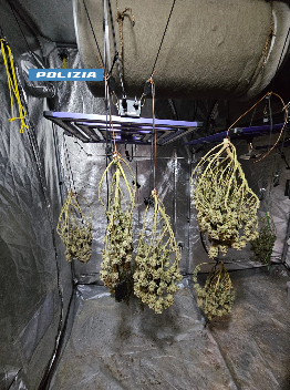 Sequstrato quasi un chilo e mezzo di droga in via Saorgio