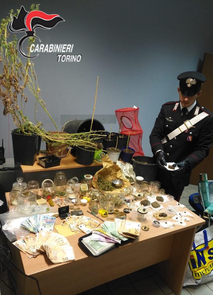 La droga era &quot;bio&quot;, ma comunque illegale: il giardiniere pusher finisce in manette [VIDEO]