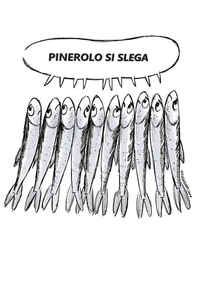 Anche “Pinerolo si slega”: domani le sardine in piazza Facta Anche “Pinerolo si slega”: domani le sardine in piazza Facta