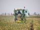 Nuove Tecnologie in Agricoltura: opportunità e innovazione
