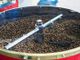 La torrefazione di caffè per bar, una eccellenza di Torino