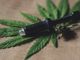 Marijuana legale ed economia green: cosa dice la legge
