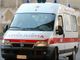 Grugliasco, anziana sbranata dai cani della figlia