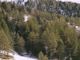 Regione, bonus di 600 euro per i forestali