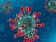 Il coronavirus Covid-Sars-19