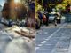 Corso Novara, la pista ciclabile a ‘zig-zag’ non convince Petrarulo: &quot;Si fermino immediatamente i lavori&quot;