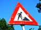Chiusure viabilità: strada provinciale 590 della “Val Cerrina” non percorribile fino al 16 novembre