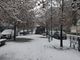 La neve nei viali di Chivasso