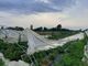 Temporale in Canavese: a Favria distrutti 2 mila metri quadri di serre