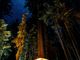 Tra natura e relax: scopri come andare in vacanza in camping