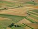BioAksxter®: la risposta all'inquinamento dei terreni agricoli
