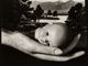 [Photo credits - Ruth Bernhard - Creation, 1936]
