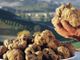 Dal 1° ottobre la “cerca” del tartufo