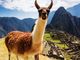 Perù autentico: le proposte DGV Travel alla scoperta di storia, cultura e paesaggi mozzafiato