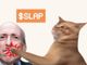 Guida rapida per acquistare CatSlap (SLAP): la nuova meme coin di tendenza