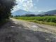 La strada verso l’ecoisola