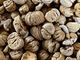 Azienda Agricola Marco Bozzolo: investire sulle castagne per custodire i castagneti Azienda Agricola Marco Bozzolo: investire sulle castagne per custodire i castagneti