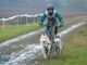 Il bibianese Vercellone chiude quinto, sotto la pioggia, il suo primo Europeo di bikejoring