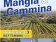 Piazze, parchi e vigne di Bricherasio si preparano ad ospitare la Mangia &amp; Cammina