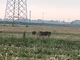 Un'immagine del video