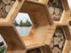 Il bee hotel Cumiana Zoom