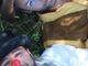 Giacomino Pinolo e Riccardo Forneris