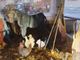 Il presepe riportato alla luce a Luserna Alta