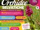 Pian Munè di Paesana: le Orchidee Selvatiche