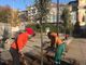Piazza Santa Croce a Pinerolo ha 9 nuovi alberi da martedì
