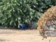 La tenda nel giardino di via Cravero