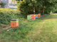 Gli alveari a Villar Perosa di Bee Slow dopo il furto