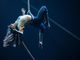 Teatro, musica, circo e danza: un’ondata artistica a ovest di Torino [FOTO E VIDEO]