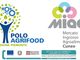 Laboratorio PACKLAB del Polo AGRIFOOD: servizi per l’innovazione nel campo del confezionamento alimentare