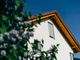 tetto di una casa che sbuca tra gli alberi