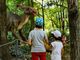 Dinosaurs Park Dinosaurs Park