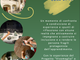 Al Museo laboratorio della Preistoria di Vaie il convegno &quot;L'arte avrà cura di te&quot;