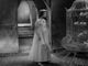 Al Cinema Massimo, al via la rassegna &quot;We, the Monster&quot;