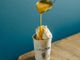 AffogaTOH: il nuovo affogato da passeggio firmato Alberto Marchetti