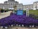 La Palazzina di Stupinigi diventa la 'residenza del green' con Anteprima Floreal