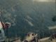 Il Codice del bosco: il docu-film di Alessandro Bernard e Paolo Ceretto in prima visione a Torino