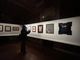 Mostra dedicata a Carol Rama presso la Fondazione Accorsi Ometto
