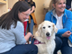 Carezze e giochi in pediatria: al via la pet therapy al Santa Croce