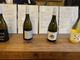 La cantina Ceste, con l’obiettivo della sostenibilità, lancia i vini Piwi in Piemonte