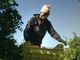 CinemAmbiente e Give peace a screen presentano The Pickers: un viaggio tra i lavoratori della frutta