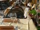 Consigli per aprire un ristorante a Torino: dal budget alla scelta del locale