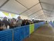Lunghe code al Salone del Libro 2025