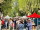 Borgo Vittoria in festa, via Breglio si trasforma in un'isola pedonale