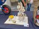 Bellissime le opere presentate al concorso artistico “AGRI…CULTURA”